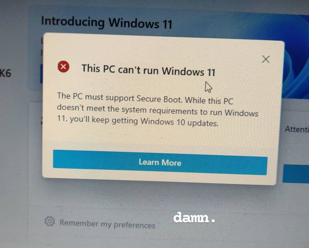PC Health Check tells me I cannot run Windows 11 because I do not have Secure Boot. Overlaid text on the image says, &ldquo;damn.&rdquo;